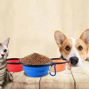 Pet Folding Bowl