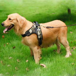 Adjustable Dog Harness - 3 Colors