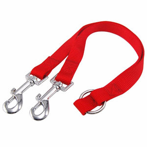 Twin dual coupler dog leash