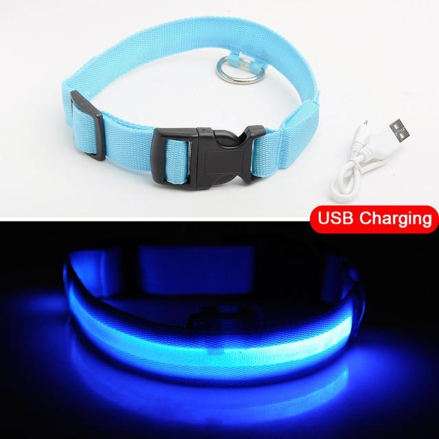 Adjustable LED Dog Collar to Keep Dogs Safe