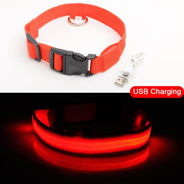 Adjustable LED Dog Collar to Keep Dogs Safe