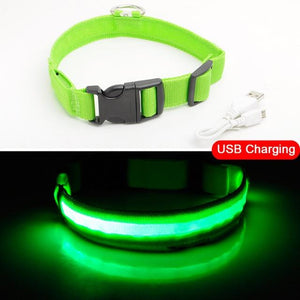 Adjustable LED Dog Collar to Keep Dogs Safe