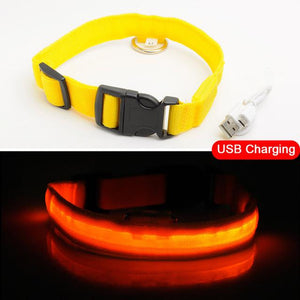 Adjustable LED Dog Collar to Keep Dogs Safe