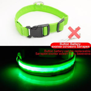 Adjustable LED Dog Collar to Keep Dogs Safe