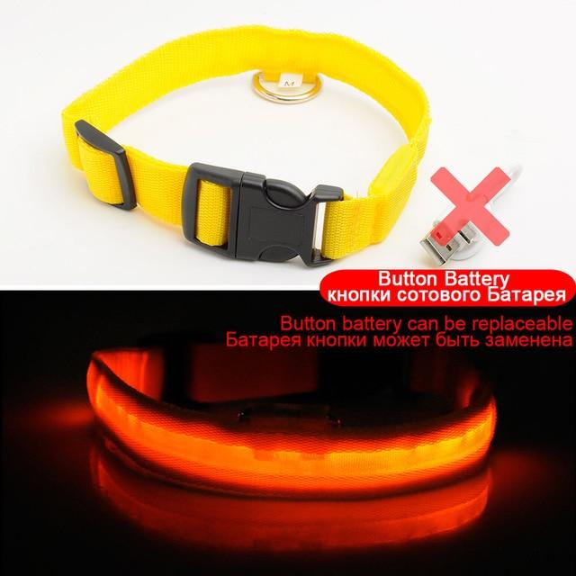 Adjustable LED Dog Collar to Keep Dogs Safe