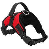 Adjustable Dog Harness - 3 Colors